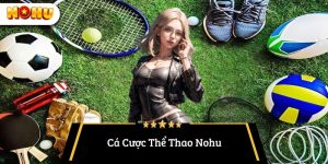 Cá cược thể thao Nohu