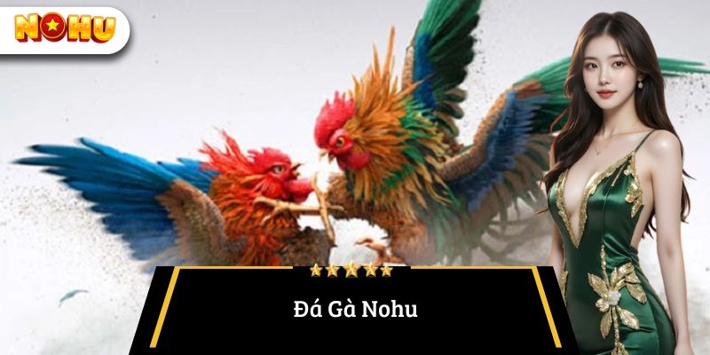 Đá gà Nohu
