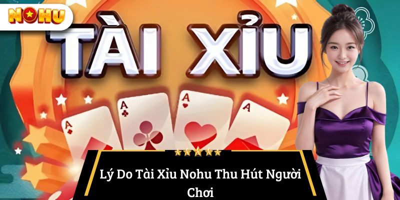 Lý Do Tài Xỉu Nohu Thu Hút Người Chơi