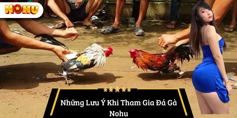 Những Lưu Ý Khi Tham Gia Đá Gà Nohu