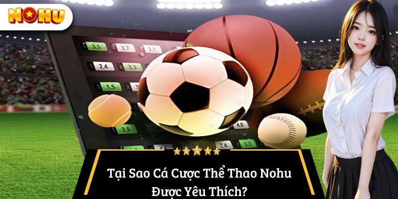 Tại Sao Cá Cược Thể Thao Nohu Được Yêu Thích?